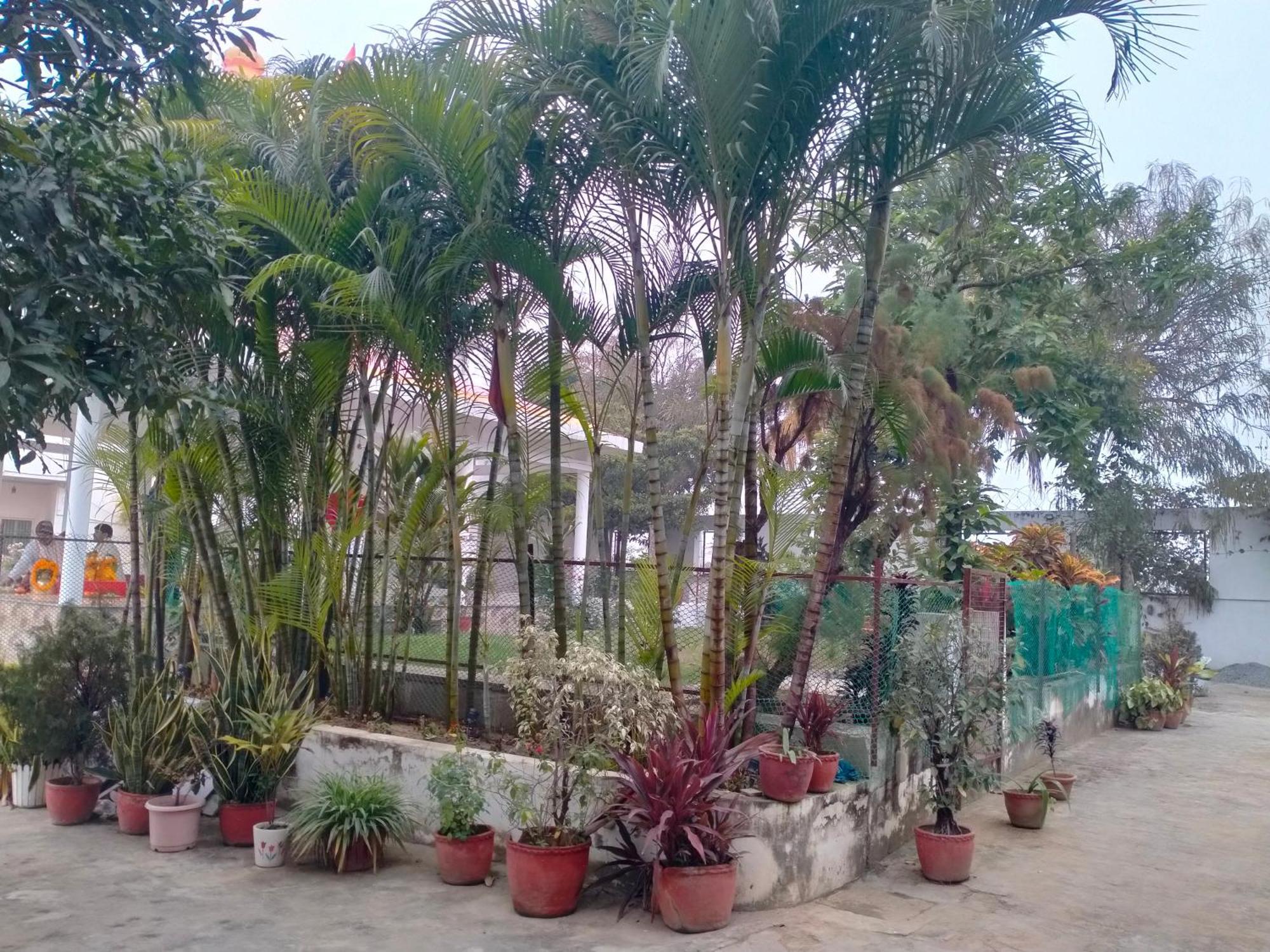 Vedic Villa Varanasi Esterno foto